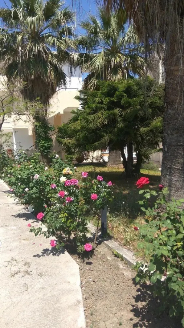 Artemis Comfort & Pleasure