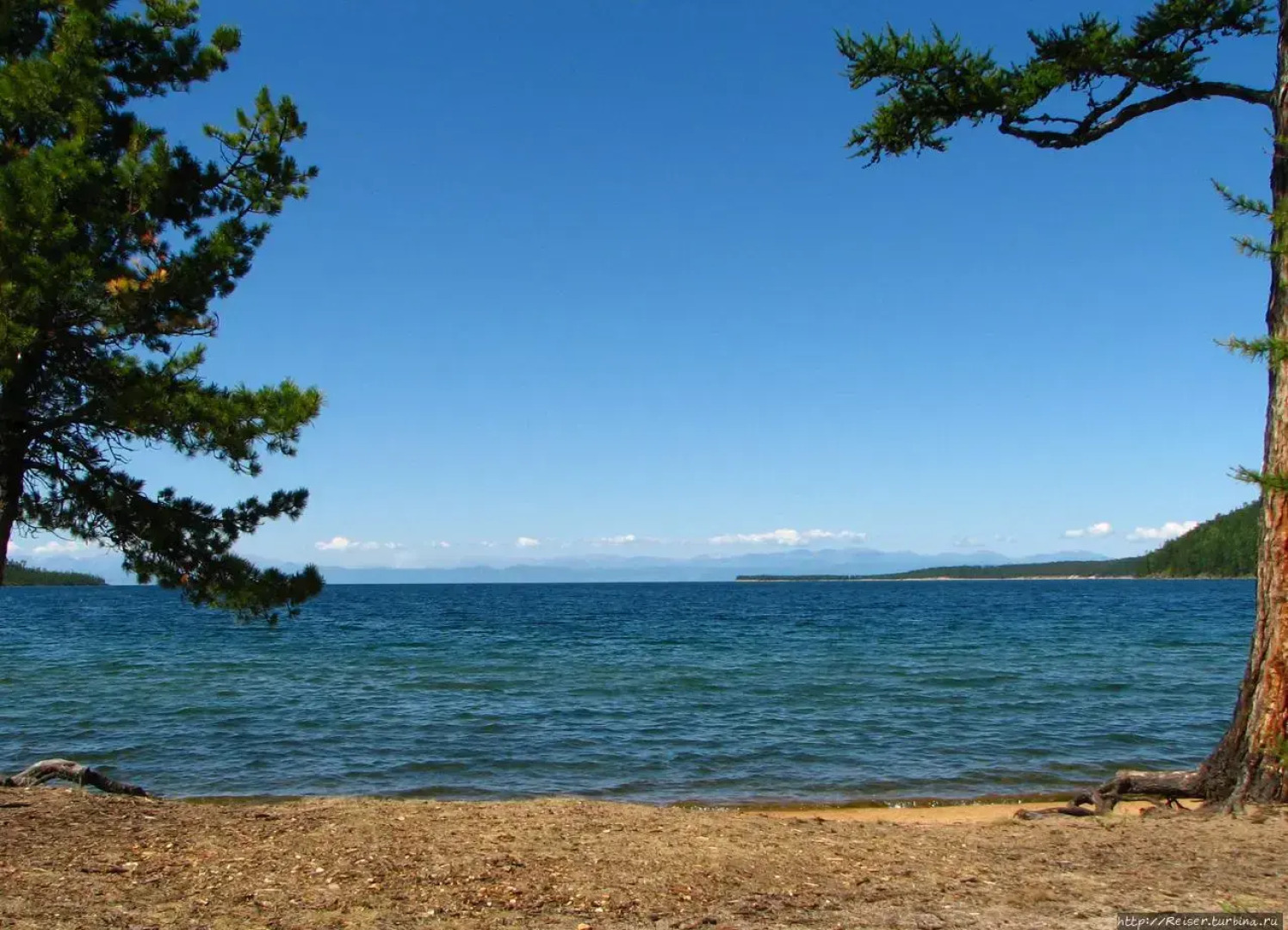 Апартаменты на улице Полиграфистов 9а