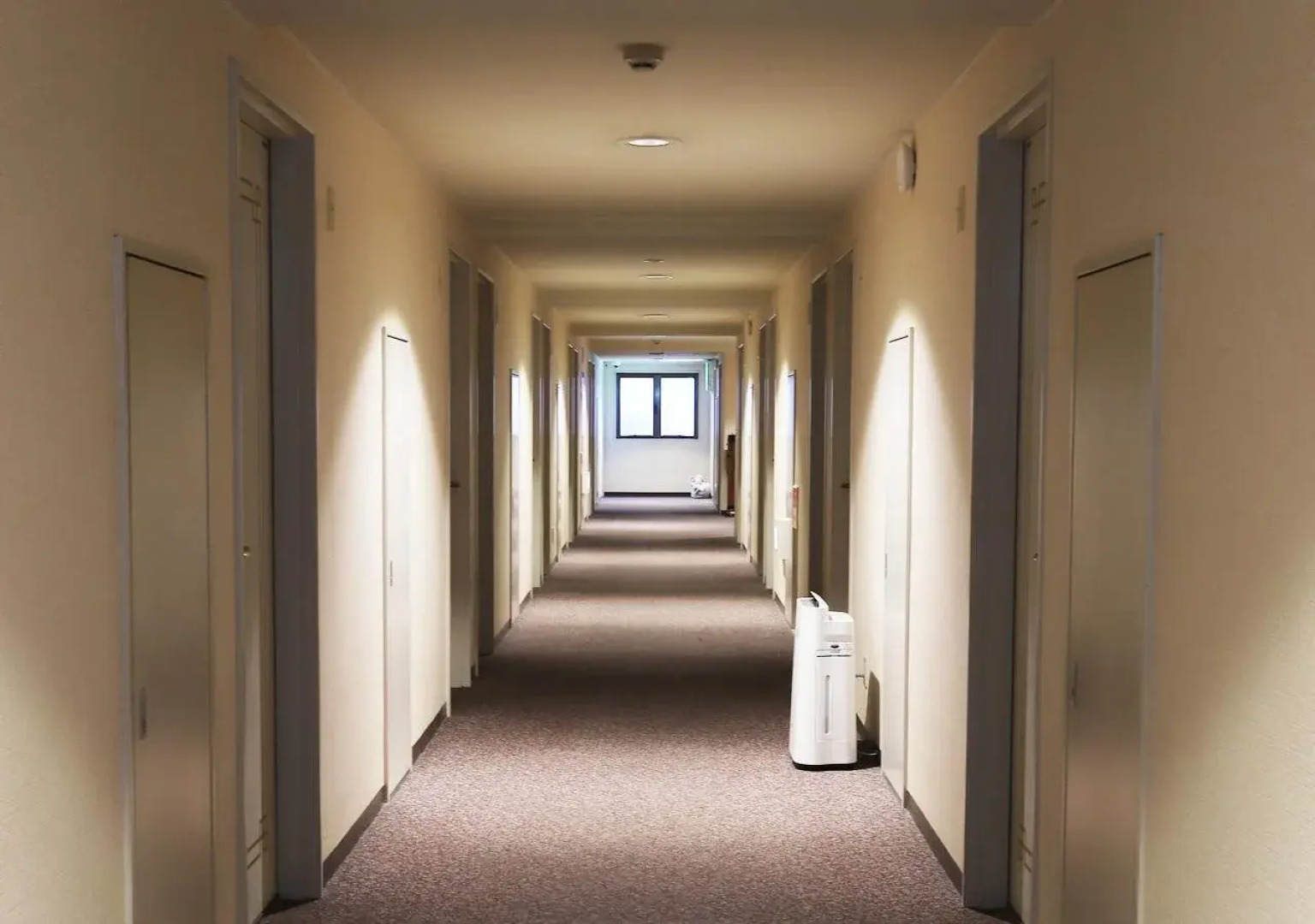 Kawagoe Dai-Ichi Hotel