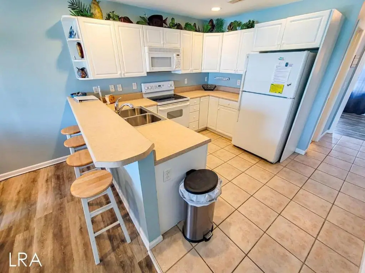 Turtle Cove 223 - C-Notes