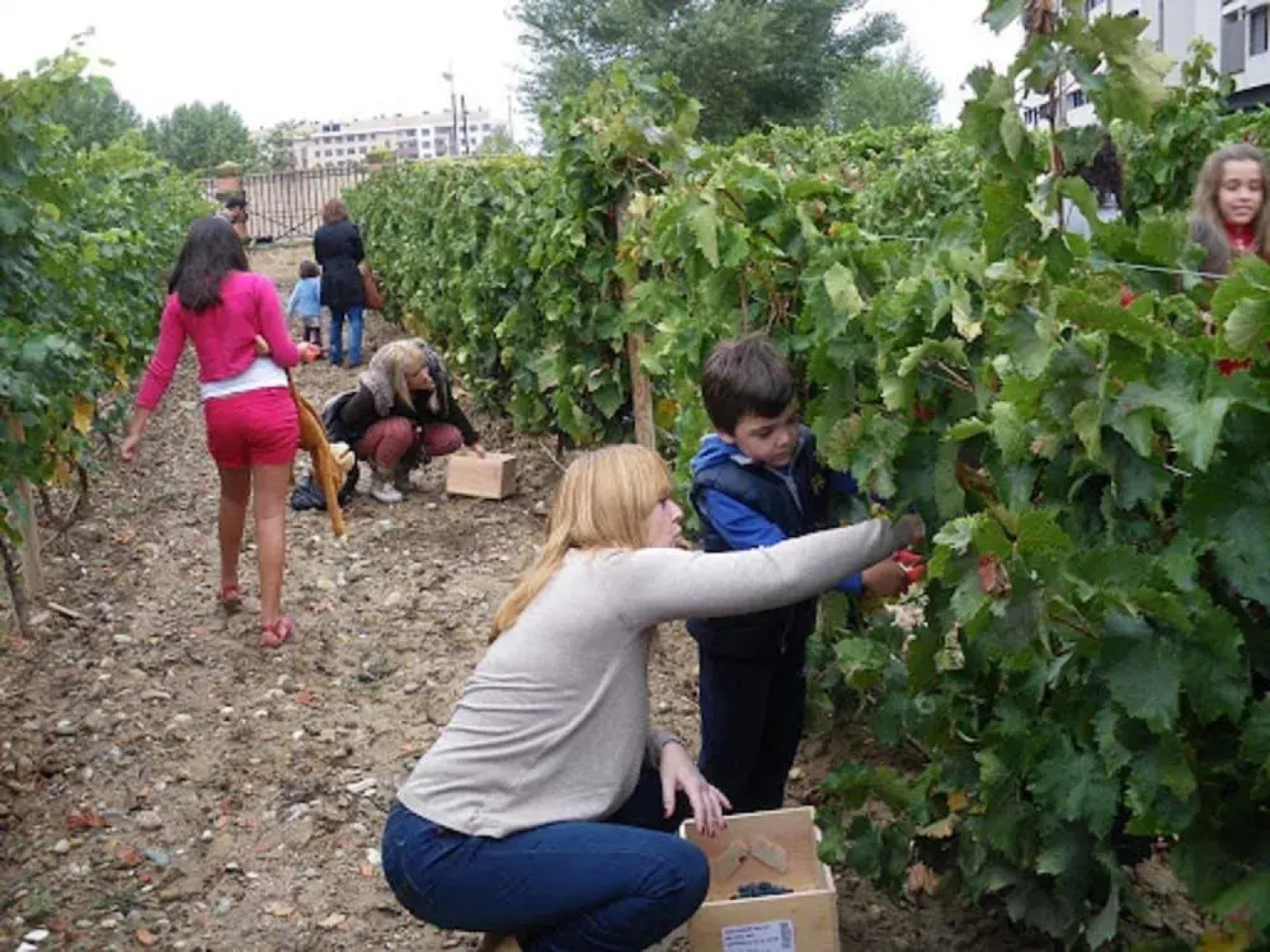 Apartamento Golf Rioja Alta