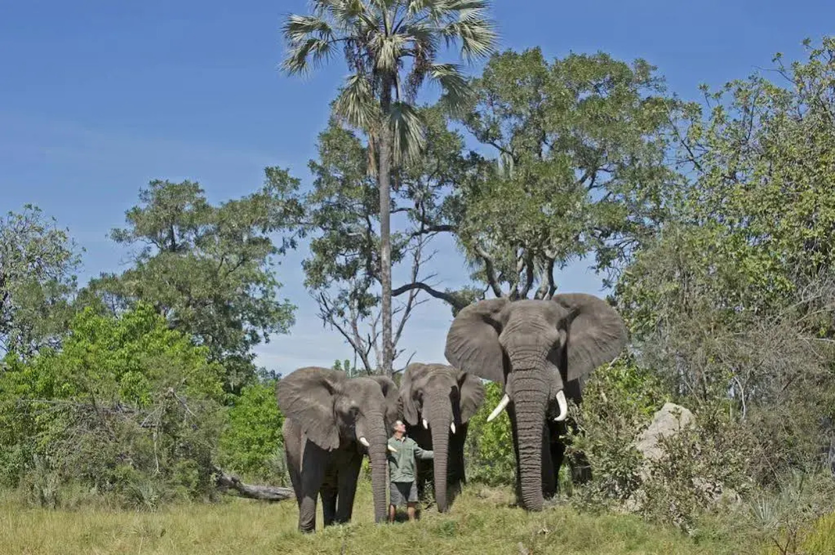 Sanctuary Stanley's Camp