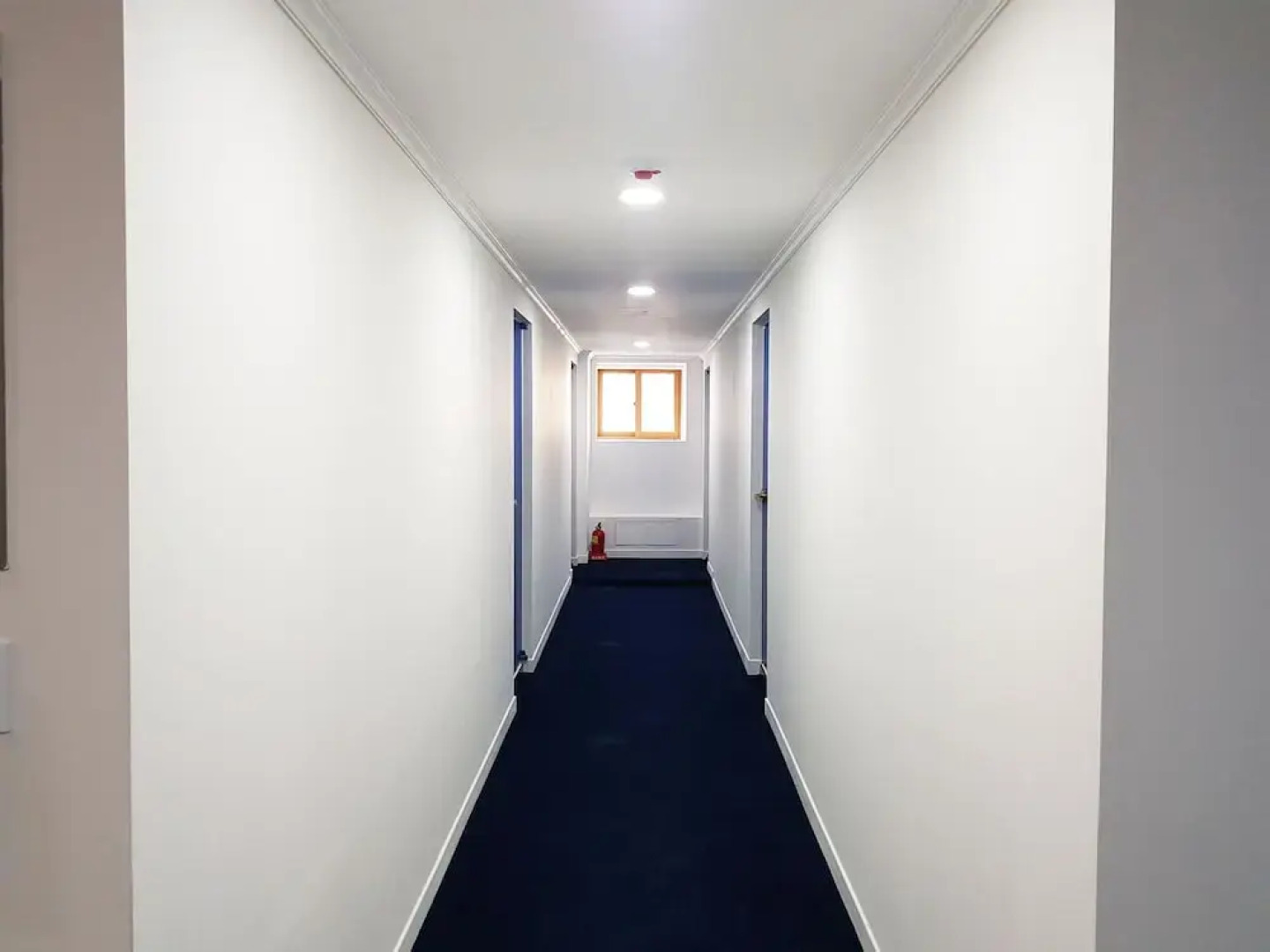 Bluemoon Guest House - Hostel