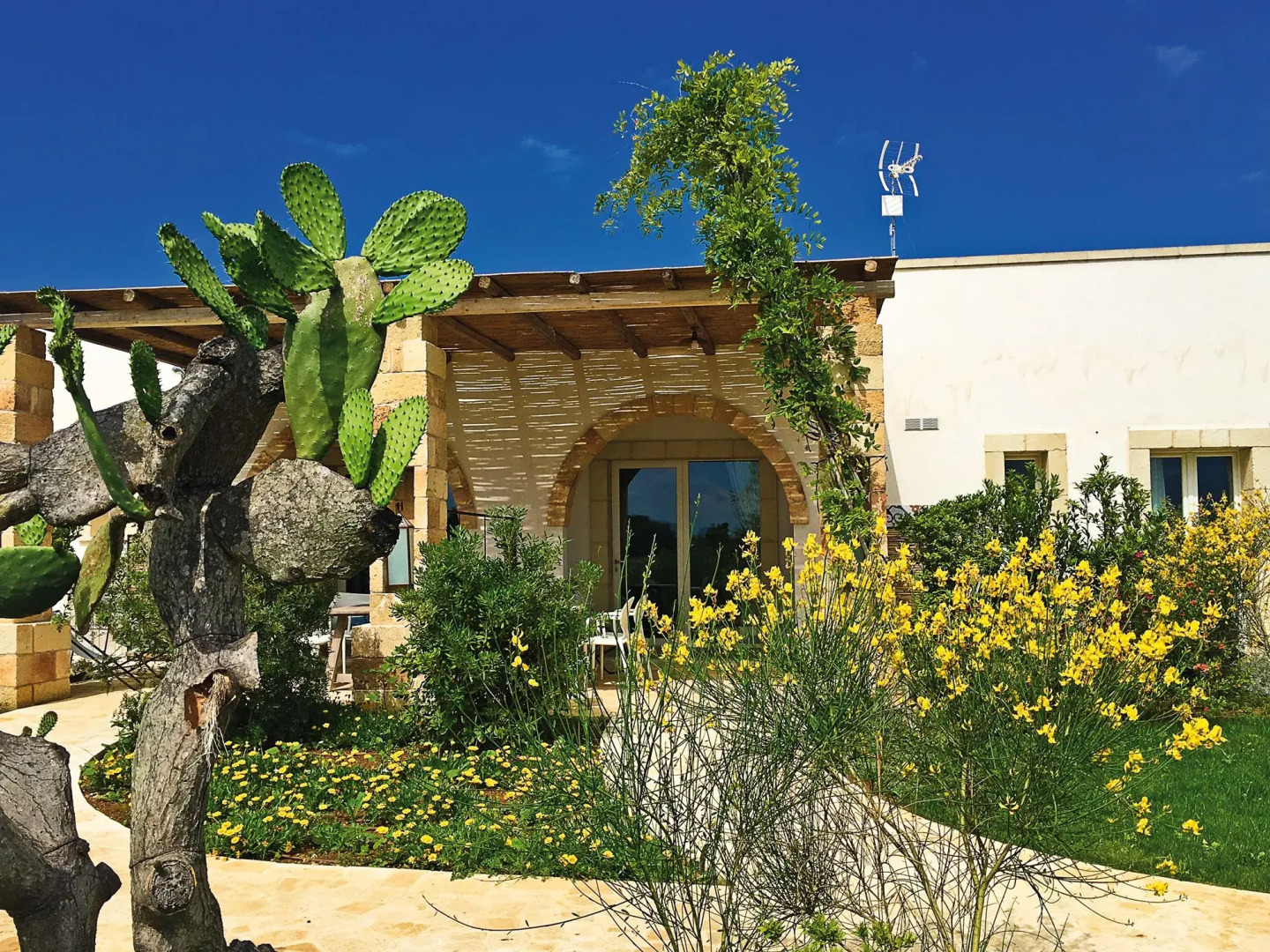 Tenuta Vigna Corallo