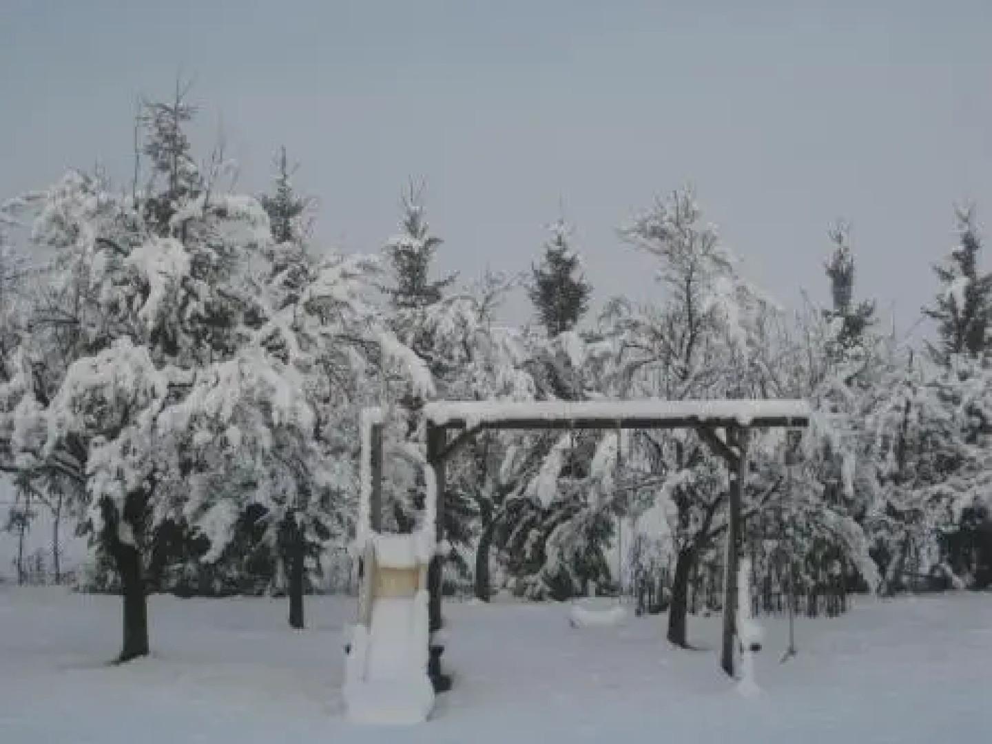 No.5 - Ferienwohnung Schkade