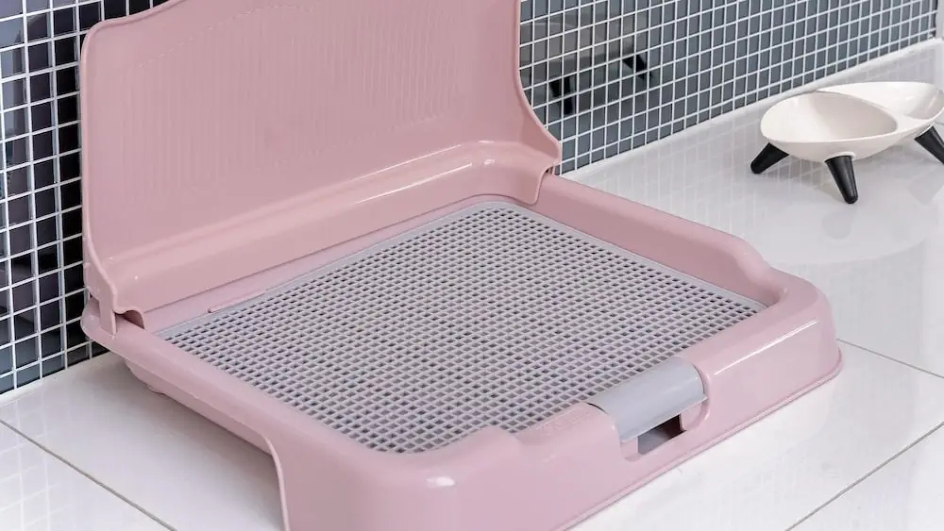 Gapyeong Dingdongdaeng Pet&spa Poolvilla