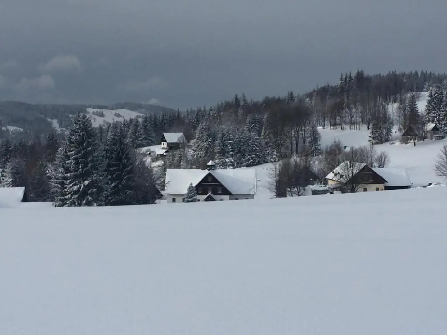 Apartments Dřevona II