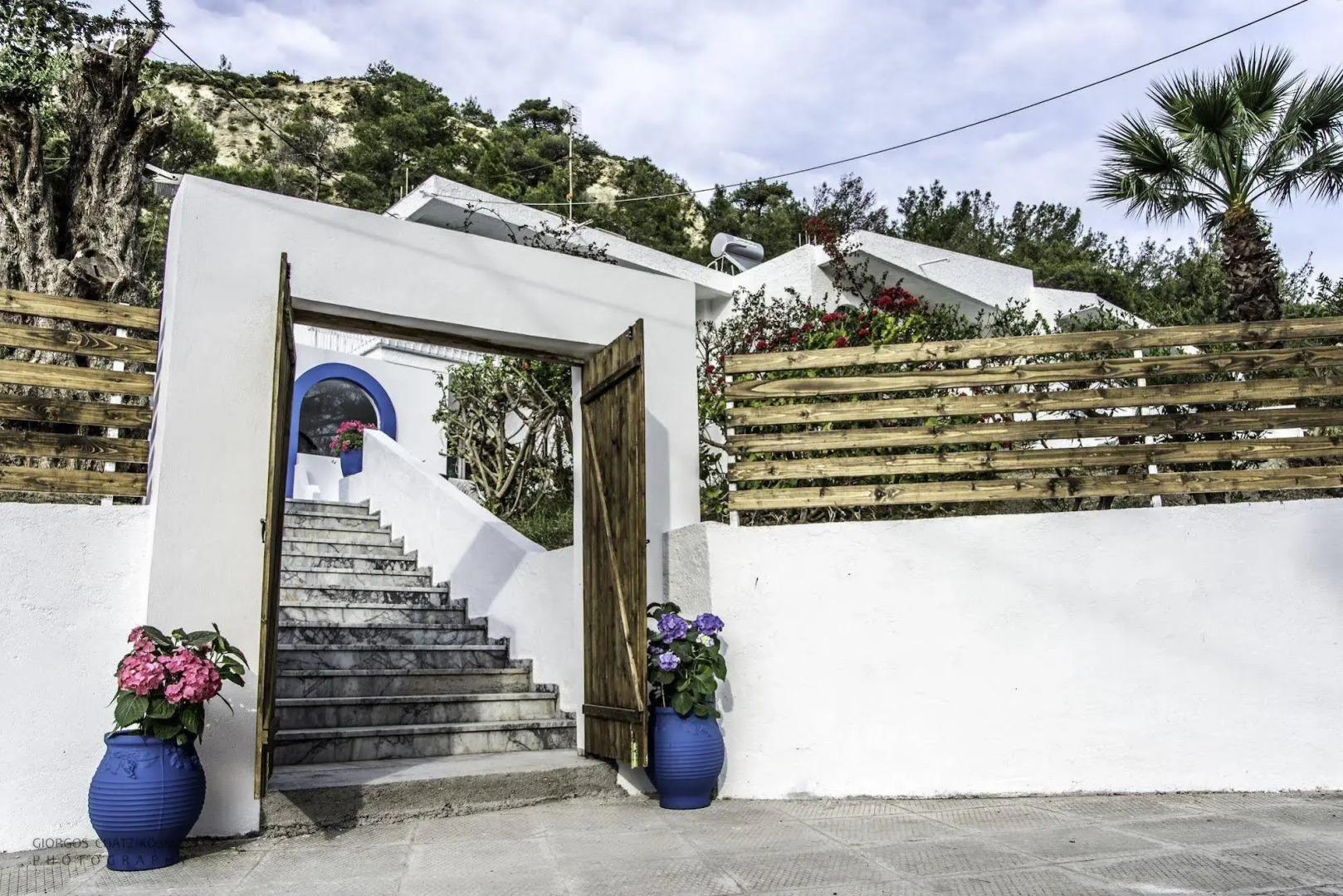 Отель Trees Art Boutique