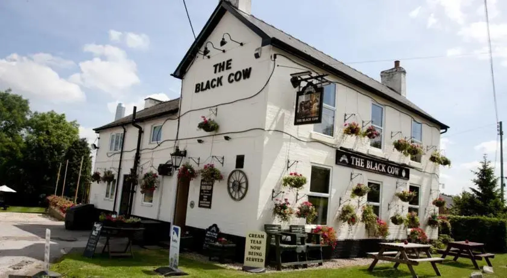 The Black Cow