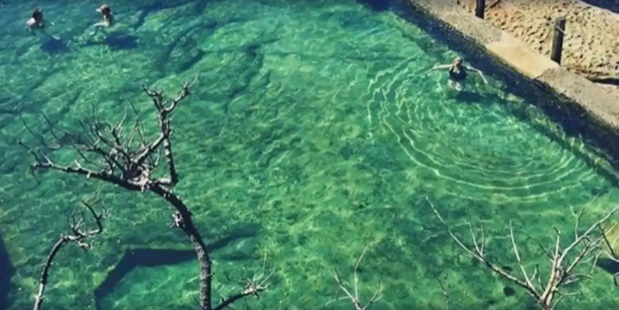 Coogee Beach House - Hostel