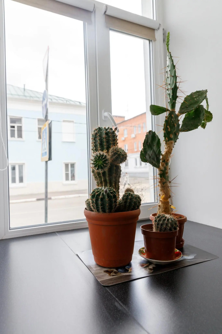 Апартаменты у Кремля на улице Яна Грунта