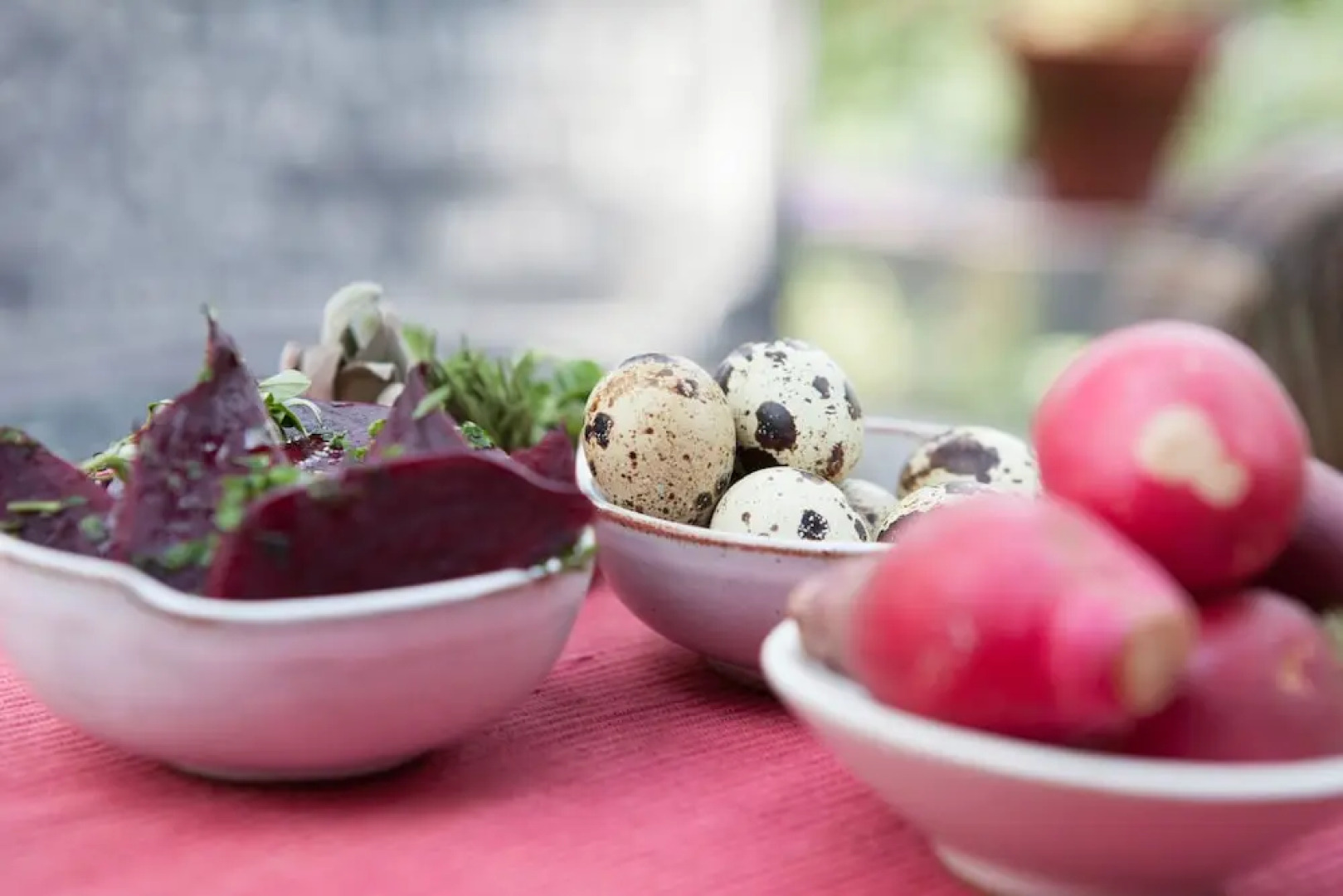 The Yellow House BED&BREAKFAST By South City Housing Pvt Ltd