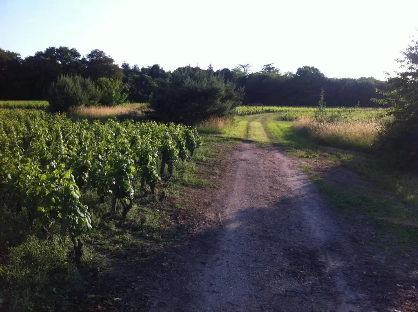 Domaine du Mont des Chênes