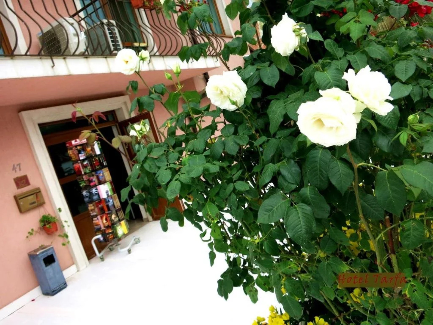 Hotel Tarfa / Hotel Tarfa