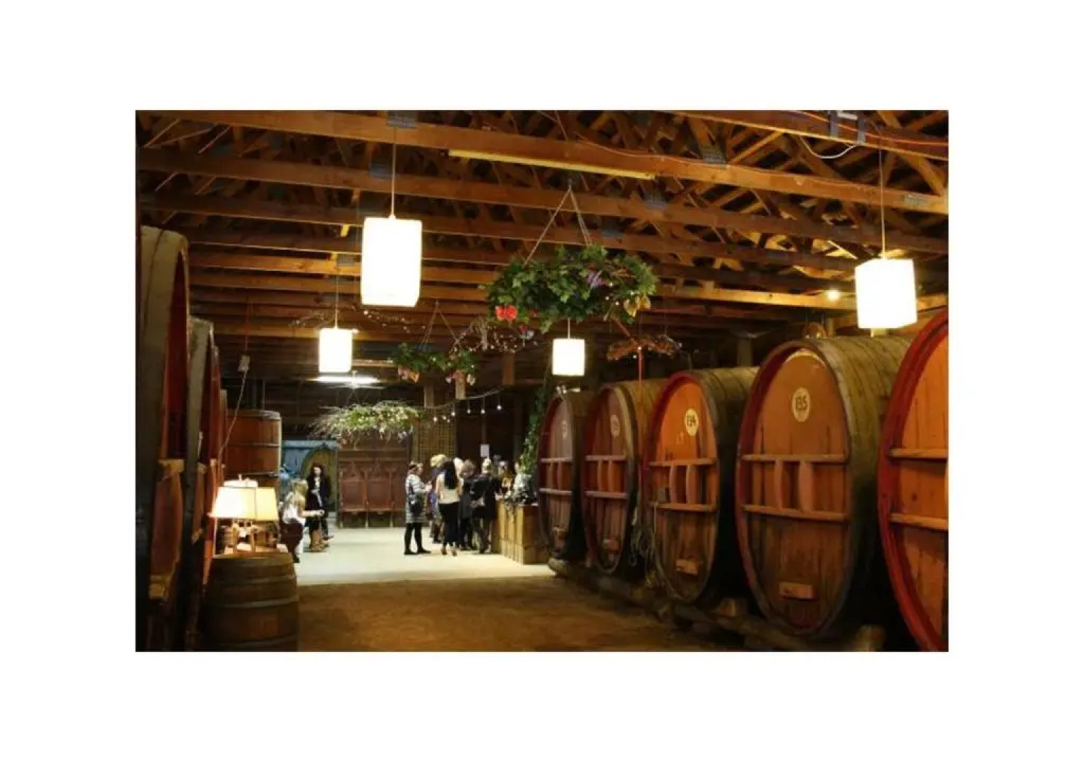 Best Western Wanderlight Motor Inn