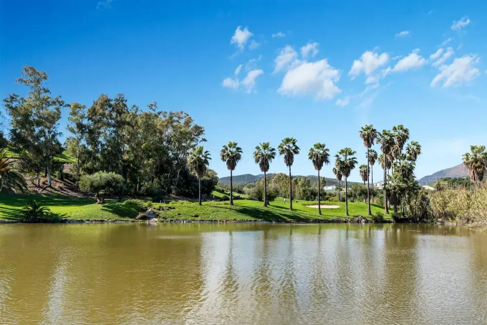 Scenic Apartment in Alcazaba Lagoon Ref M55