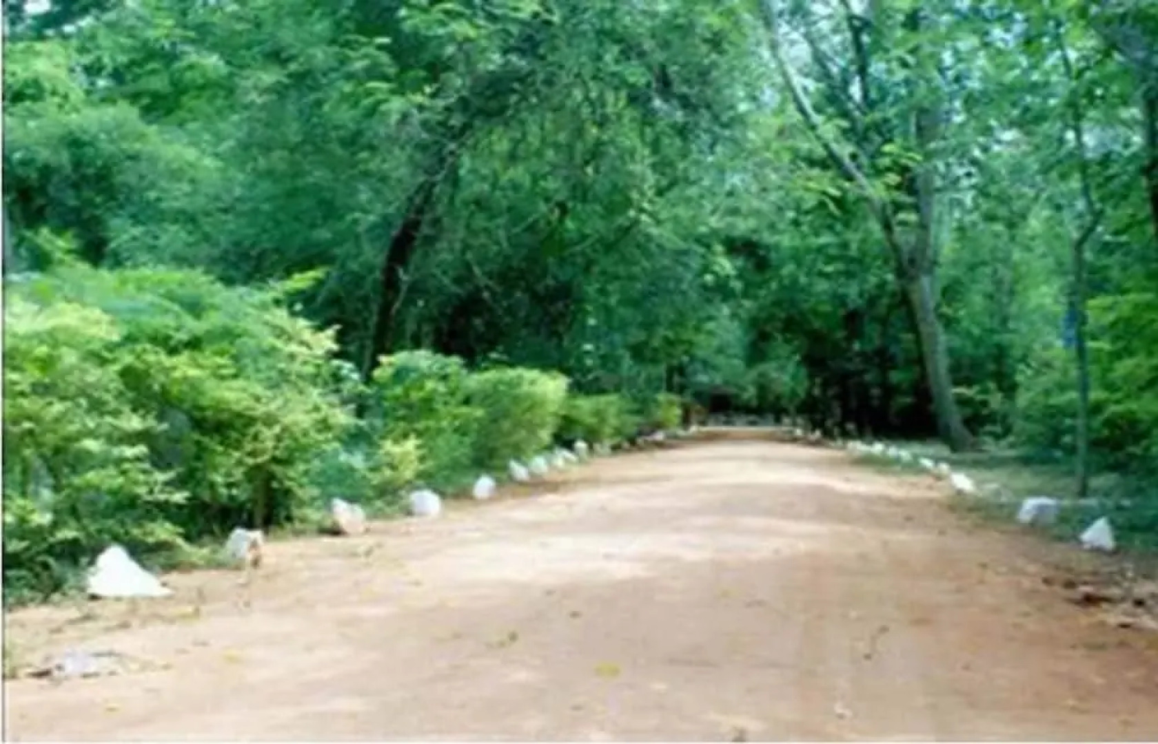 Samtop Hotel Kothmale