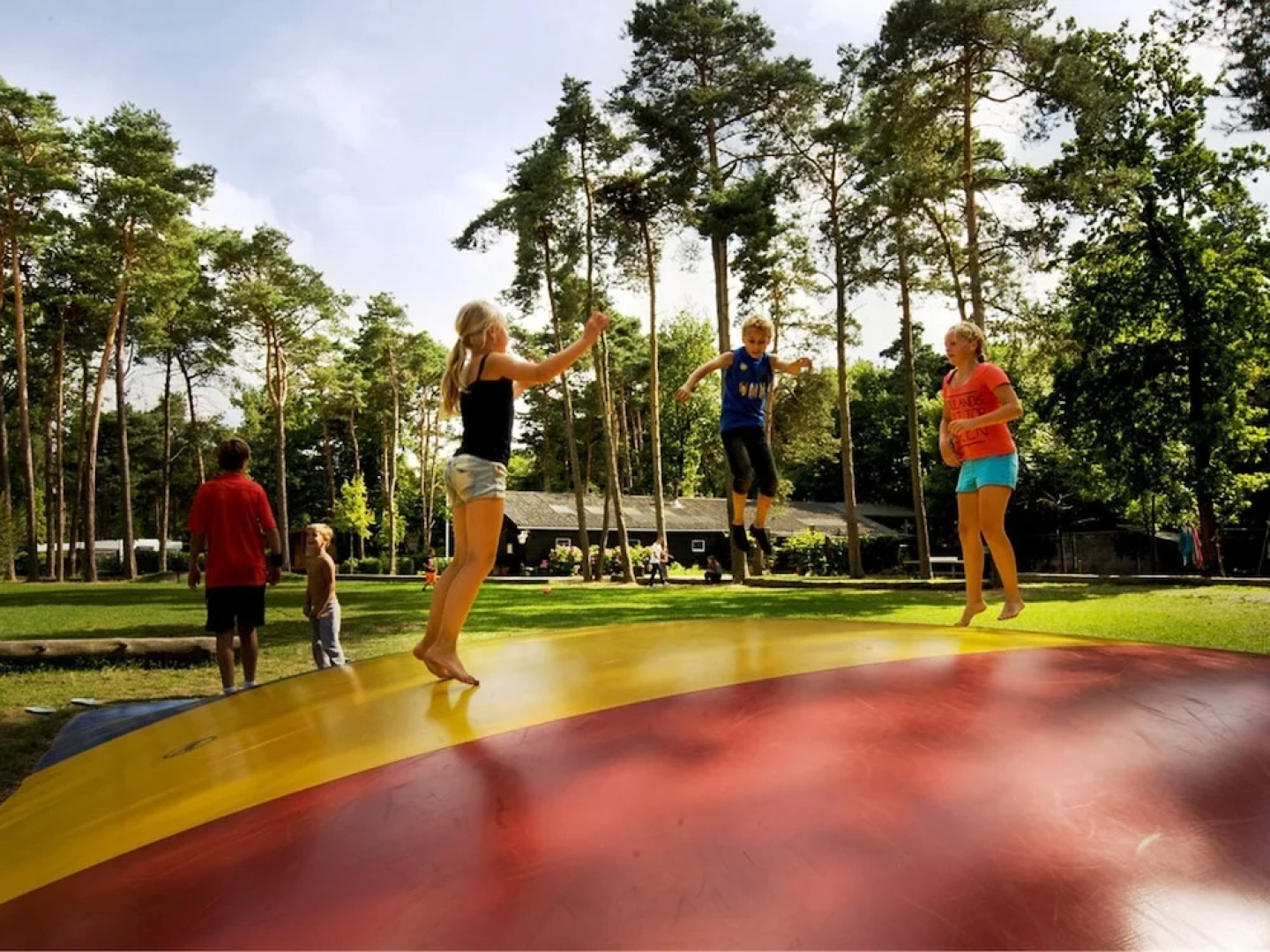 Furnished Chalet near Oisterwijkse Vennen