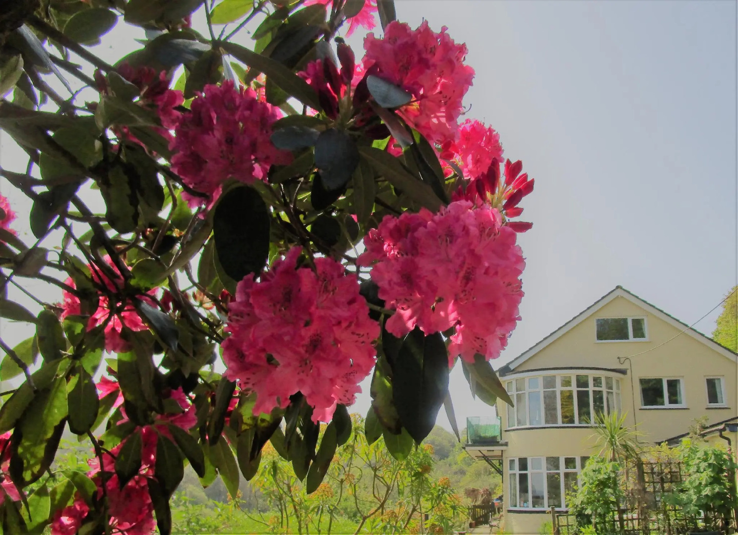 Gallen-treath Guest House