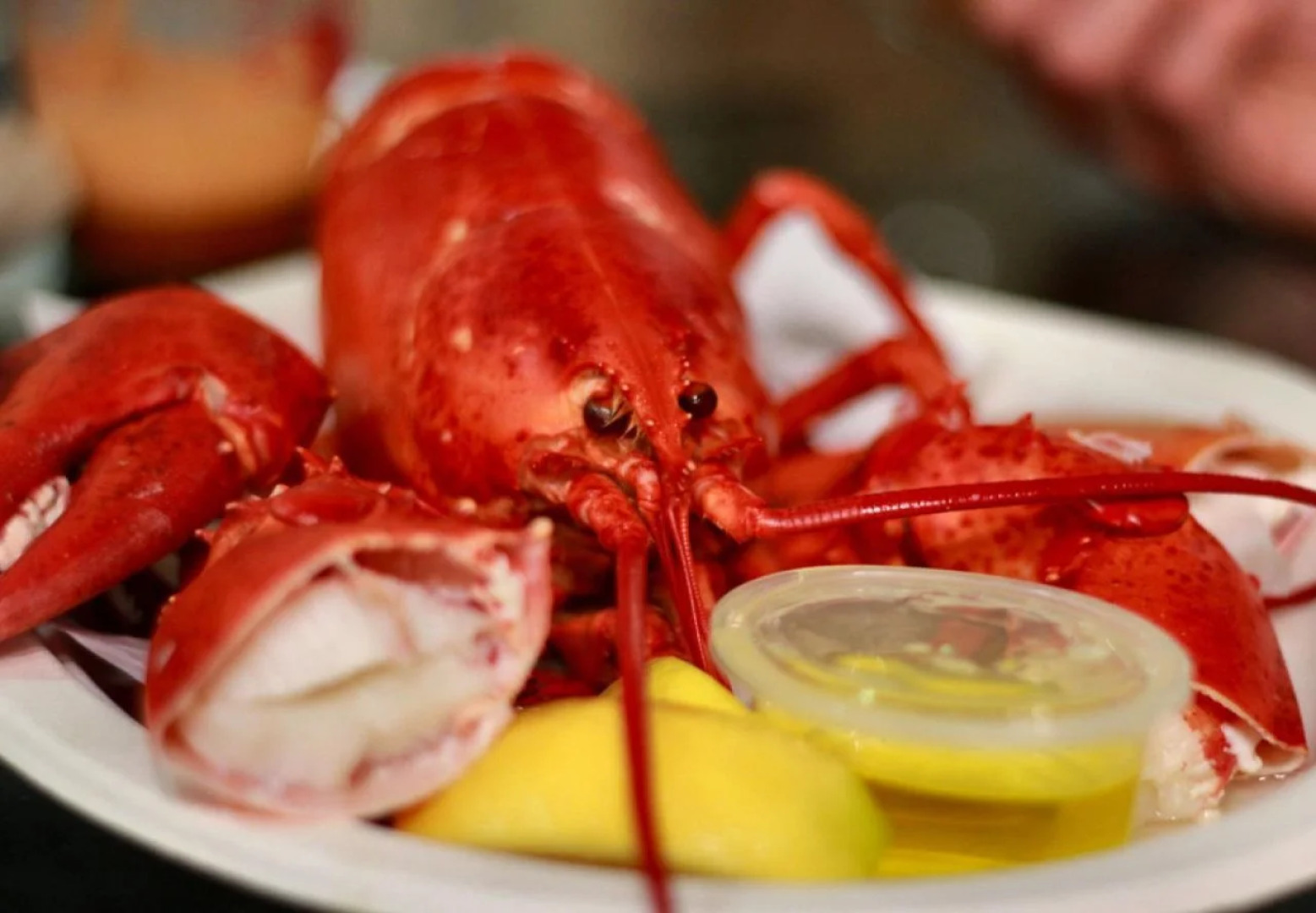 Raveena Home stay kumarakanda