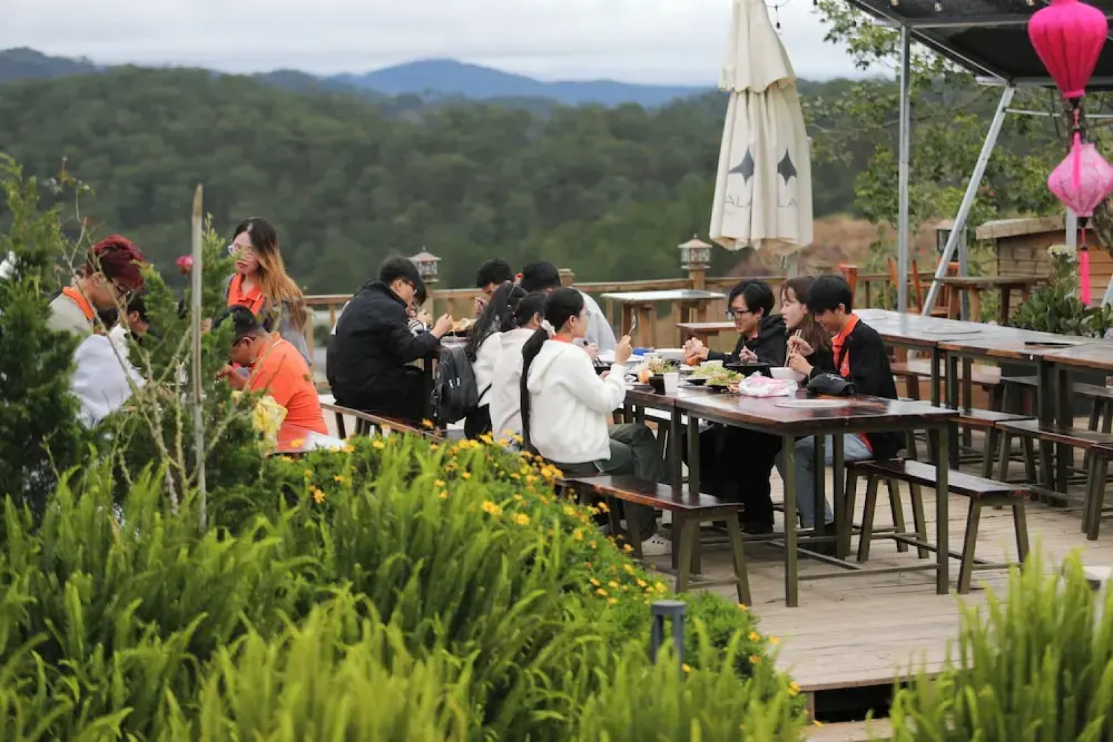 DaLart Glamping & Coffee