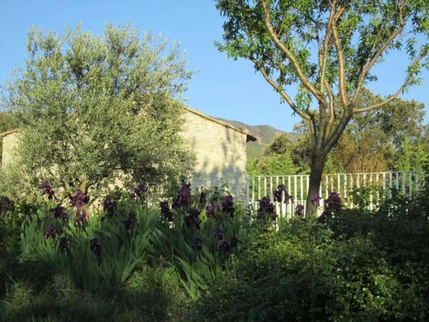 House With 3 Bedrooms in Roche-saint-secret-béconne, With Wonderful Mo