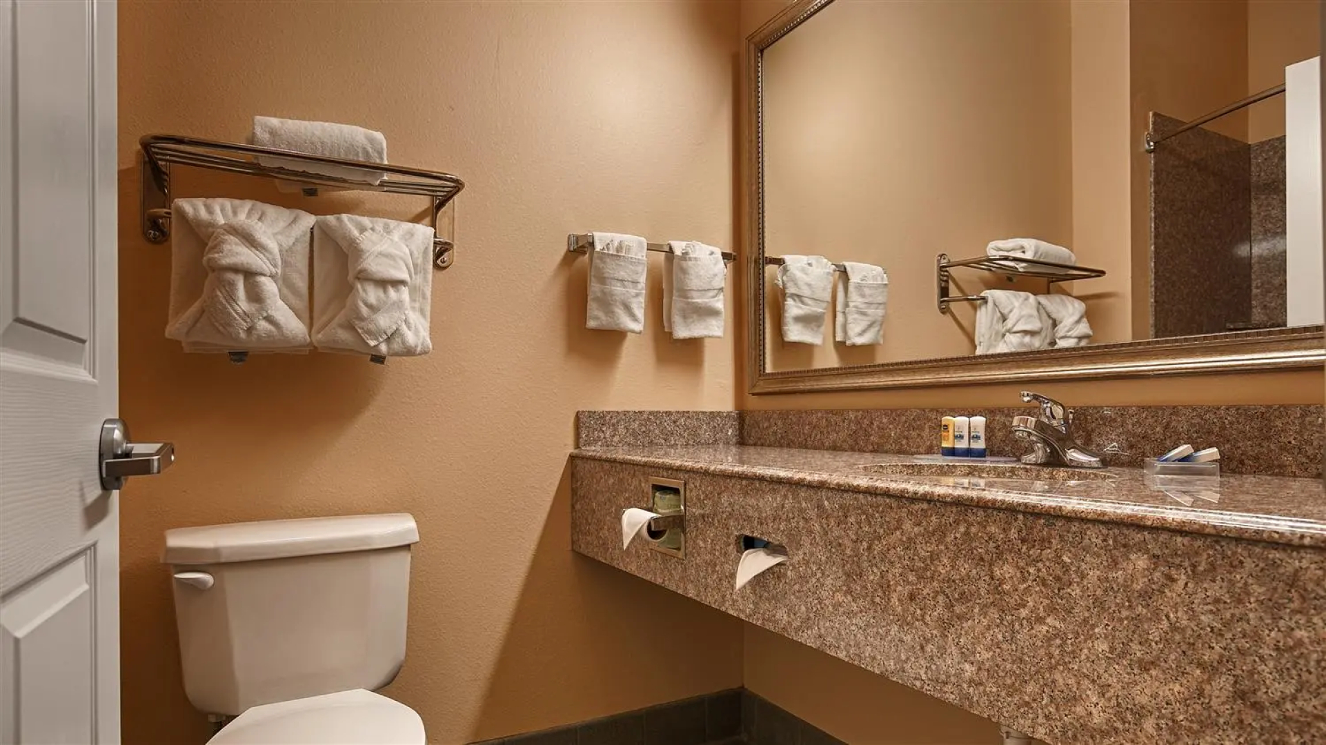Best Western Plus New Caney Inn Suites