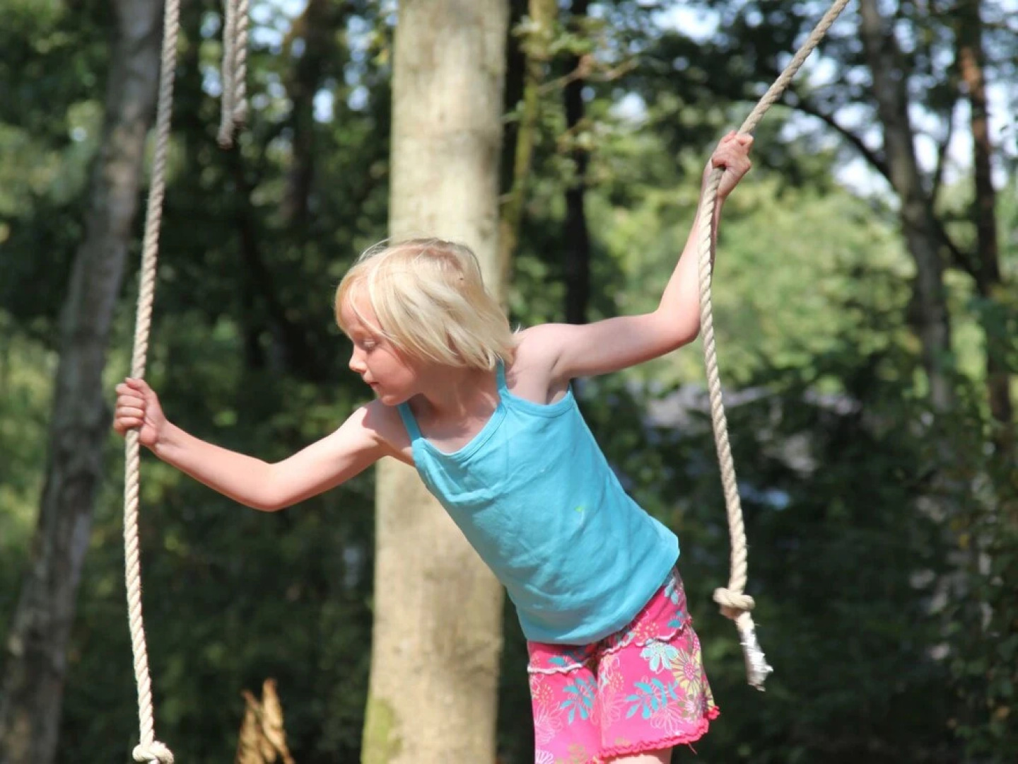 Luxurious Holidayhome With Whirlpool and Sunshower in Nature