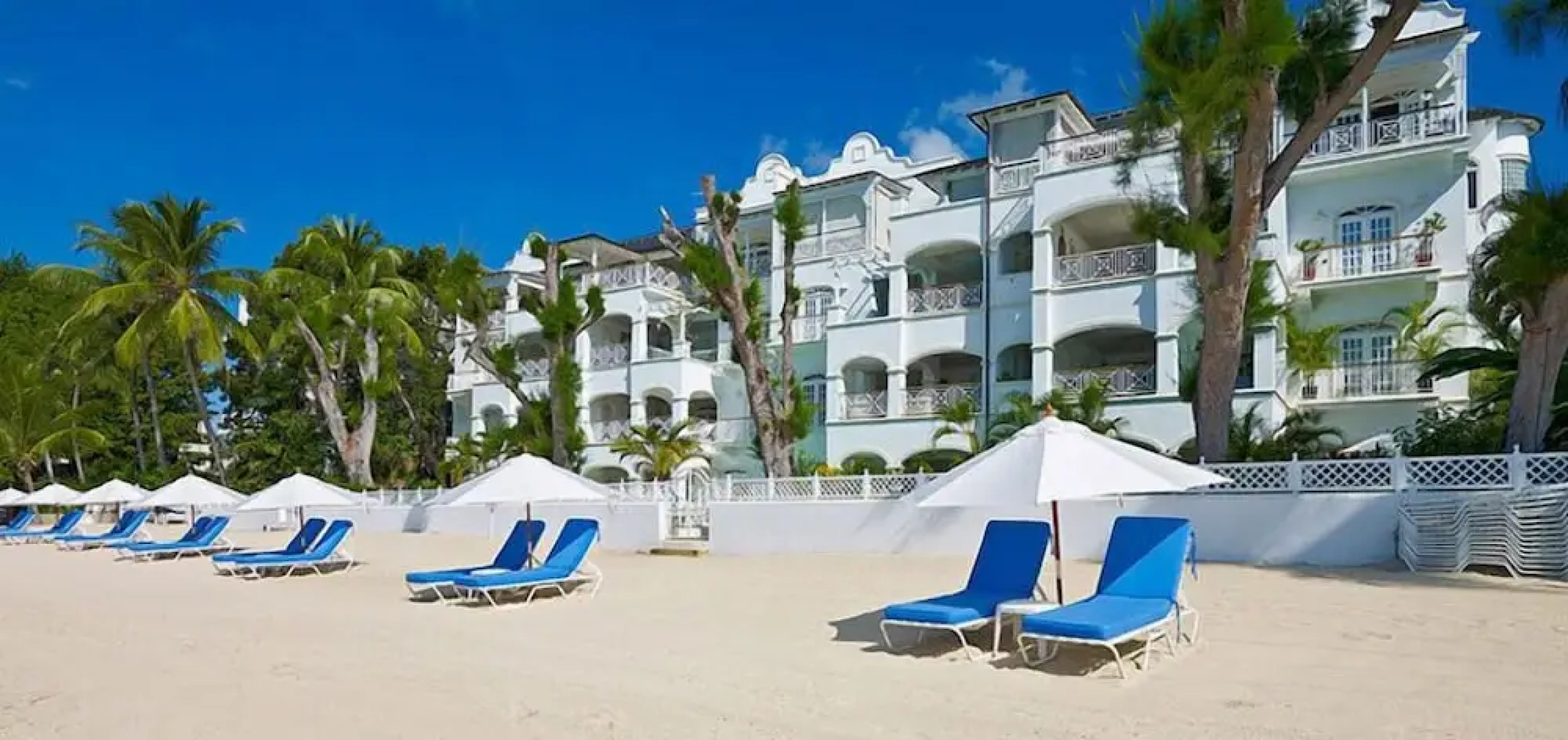 Old Trees 3 - Condo Halcyon