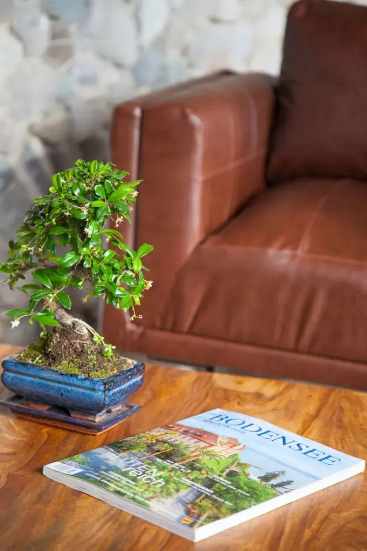 Residenz Cheval am Pfaffenberg Friedrichshafen Messe