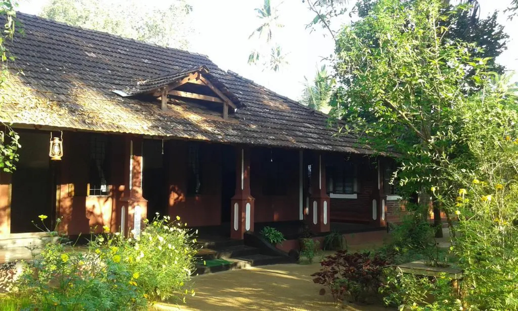 Big Banana Island Retreat