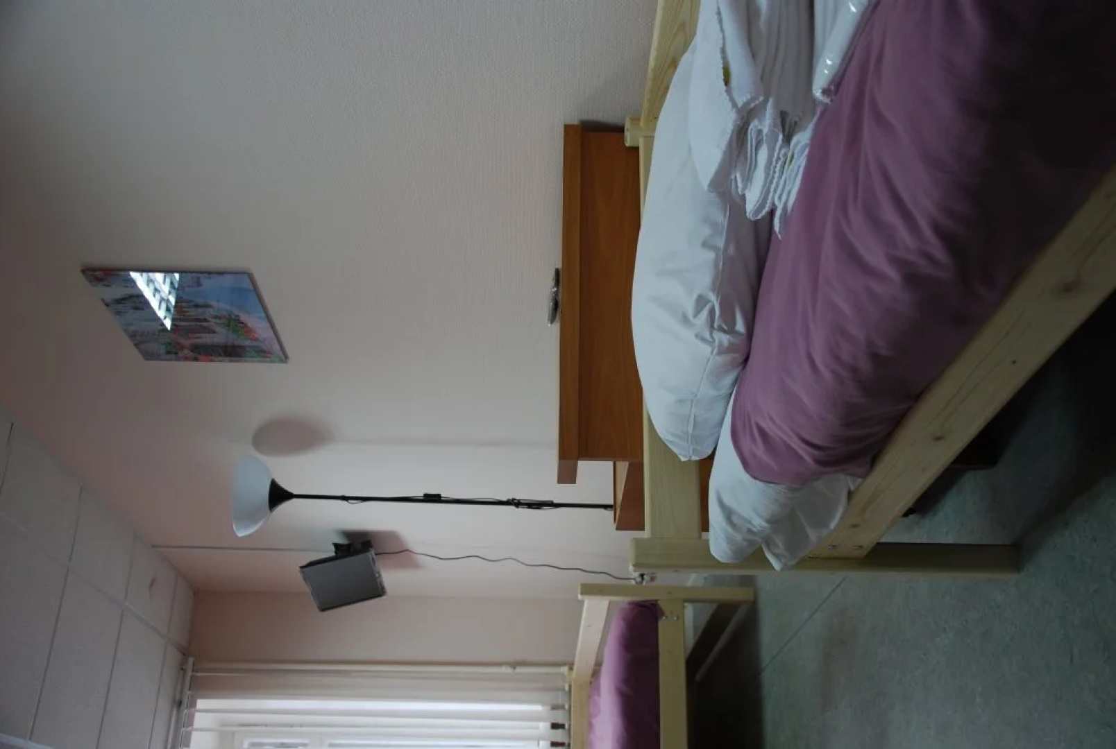 Sovy Nezhnye Hostel