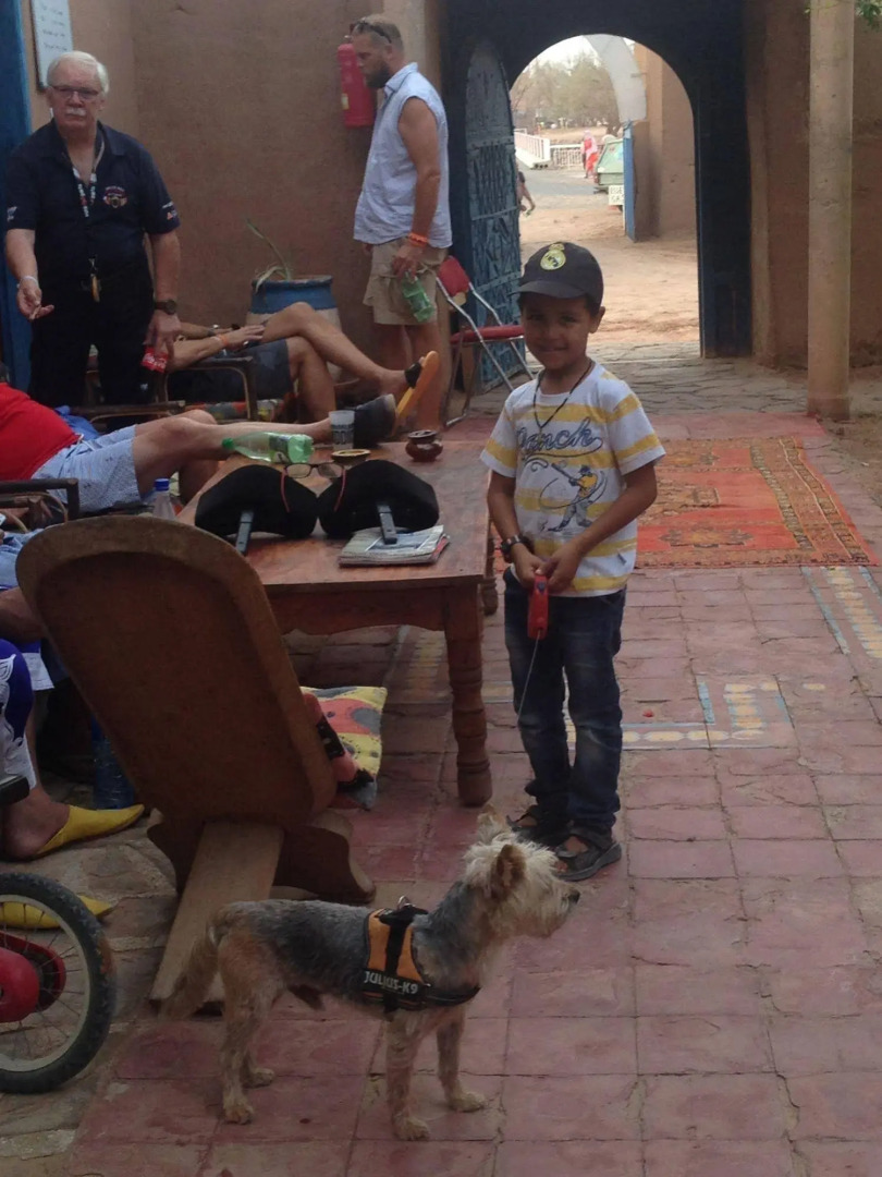 Hotel Camping Hamada du Draa