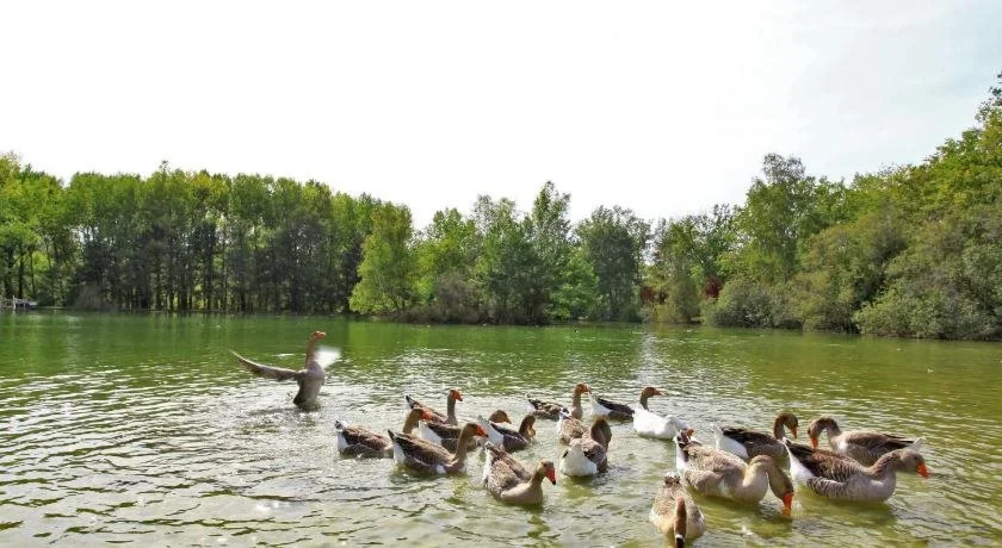 Logis Hostellerie de lAuberge de LÉtang Bleu