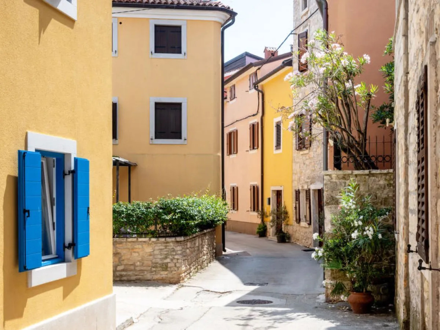 Villa Athos Novigrad (Istra)