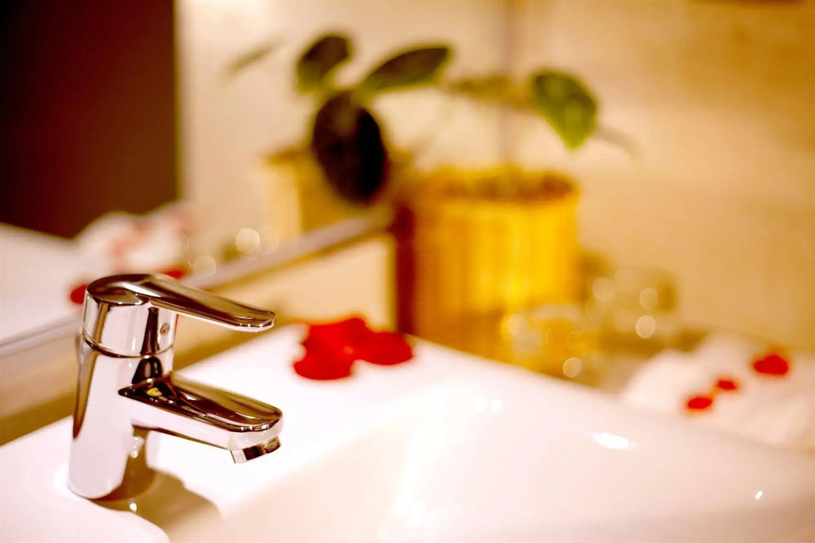 Xiamen Yuzhou Camelon Hotel