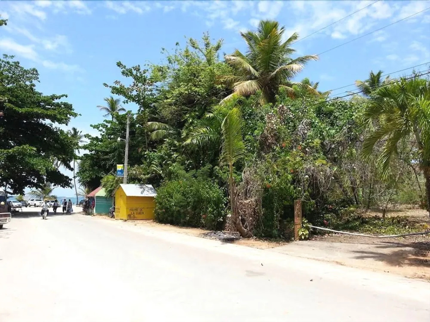 Hostel La Ballena Backpacker