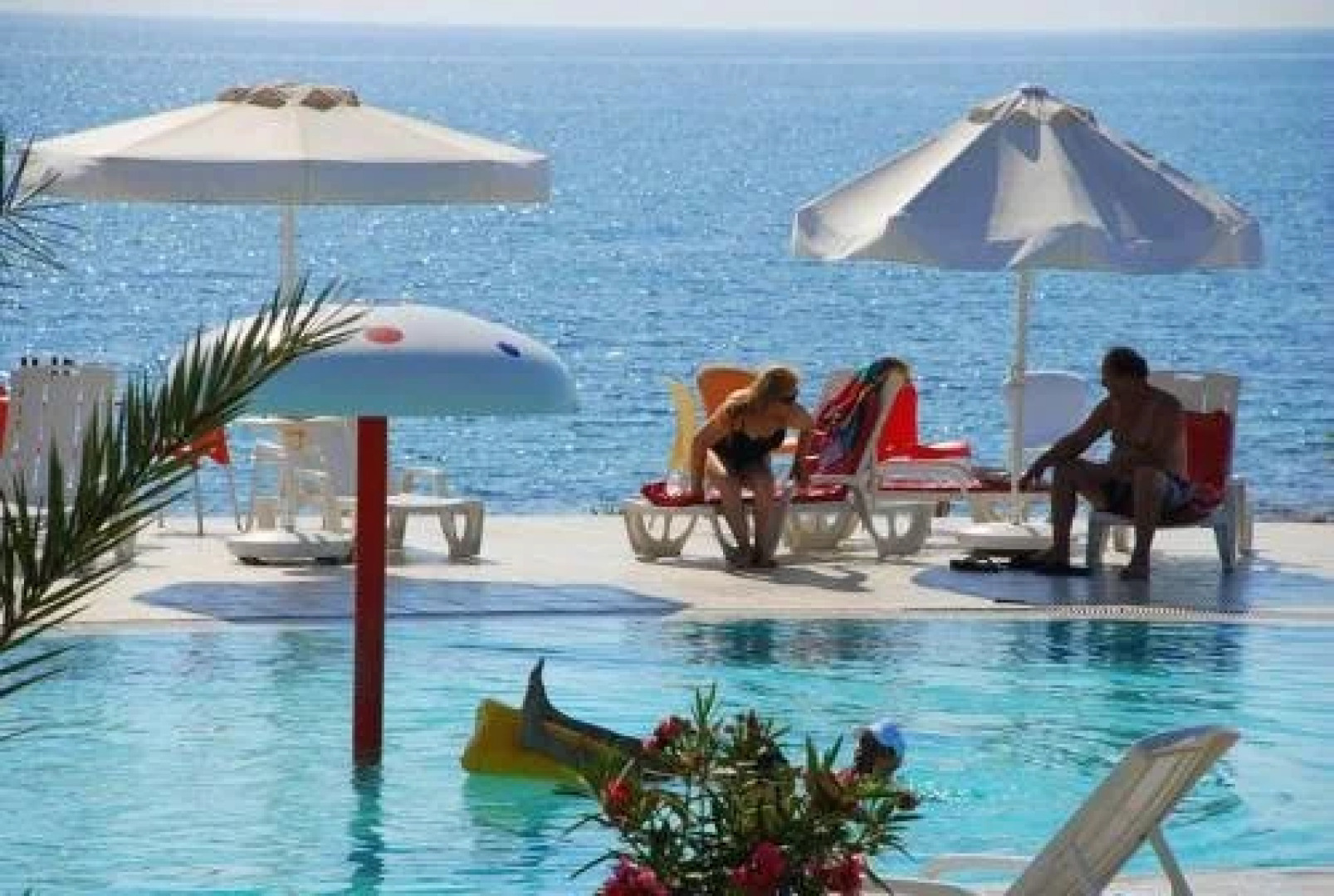 Yeldener Crystal Rocks