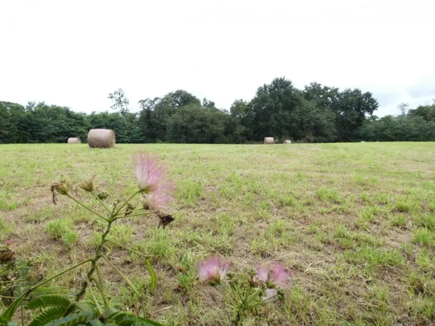 Gîte Poyanne, 3 pièces, 4 personnes - FR-1-360-210