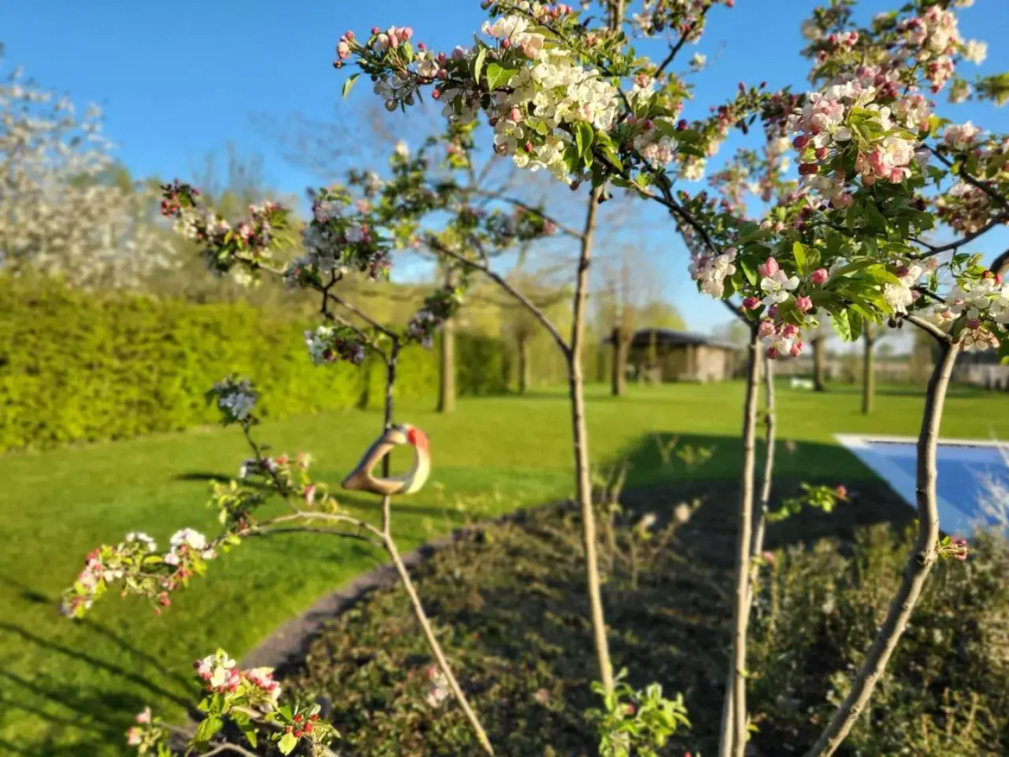 Want Logies: Ruime Loft