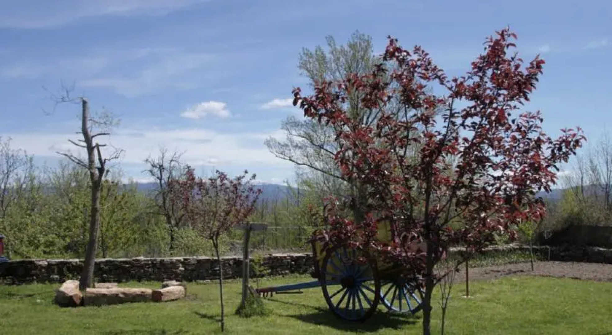 La Morera de Agustina