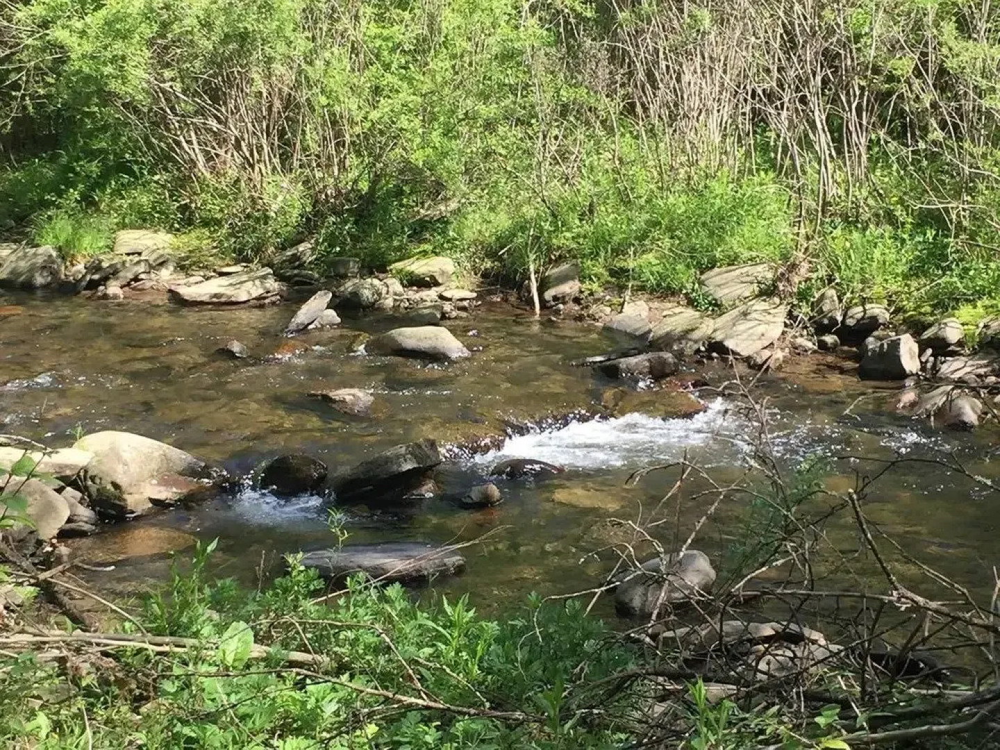 Tentrr - Sands Creek Camp