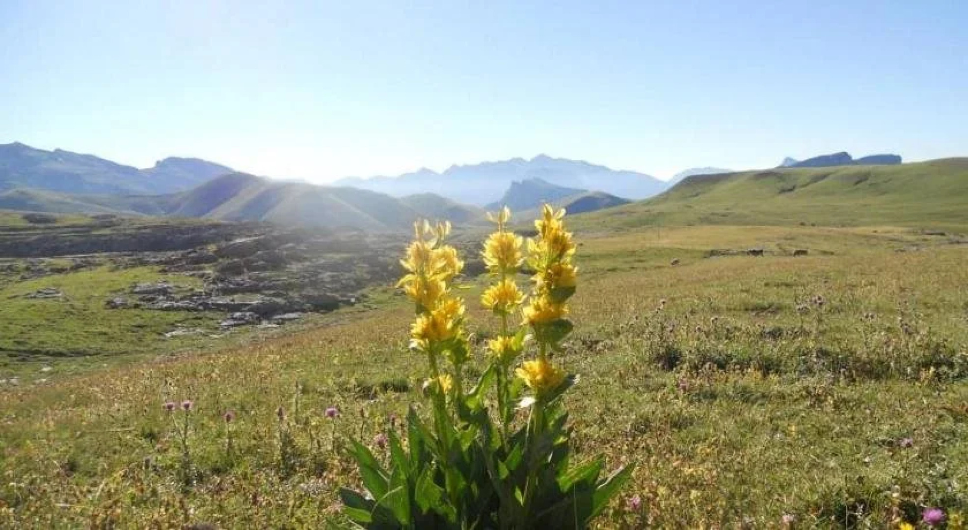 Hostal Casa Patricio