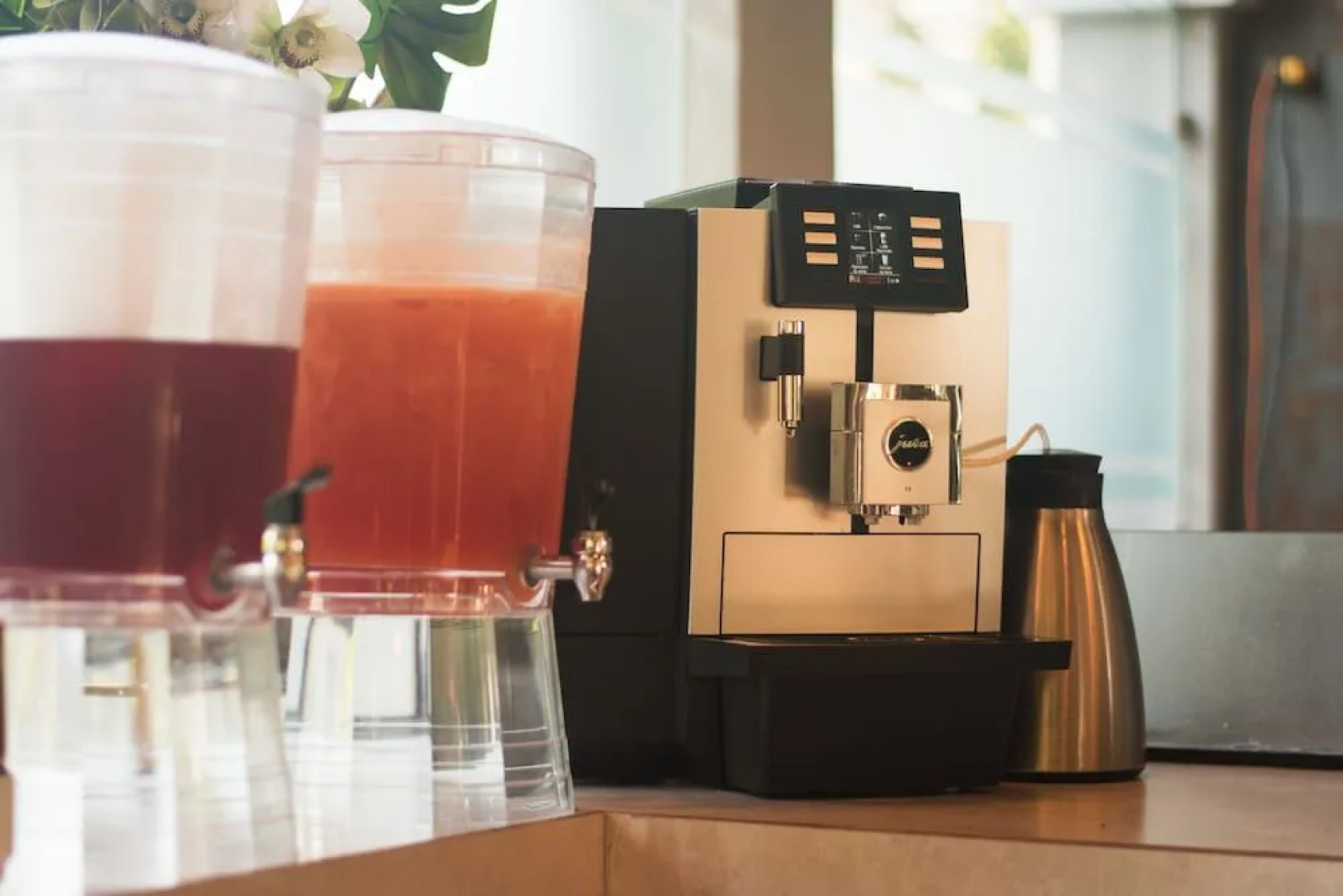 Noah's Forest by Tifakara