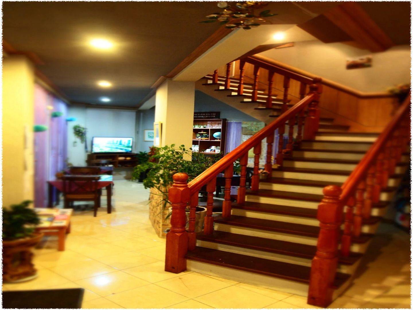 Elmar Guesthouse - Hostel