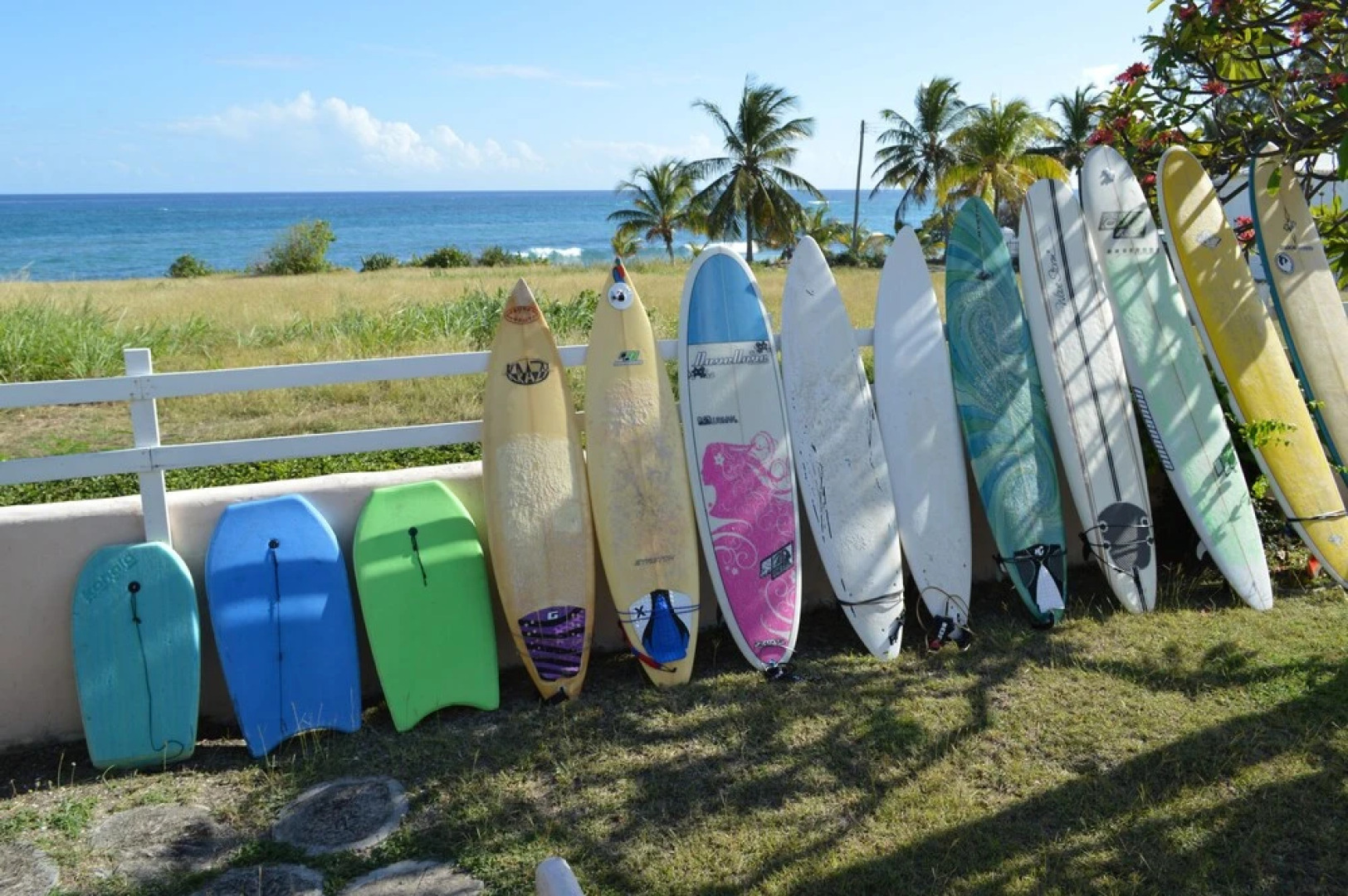 Yellow Bird Apartment
