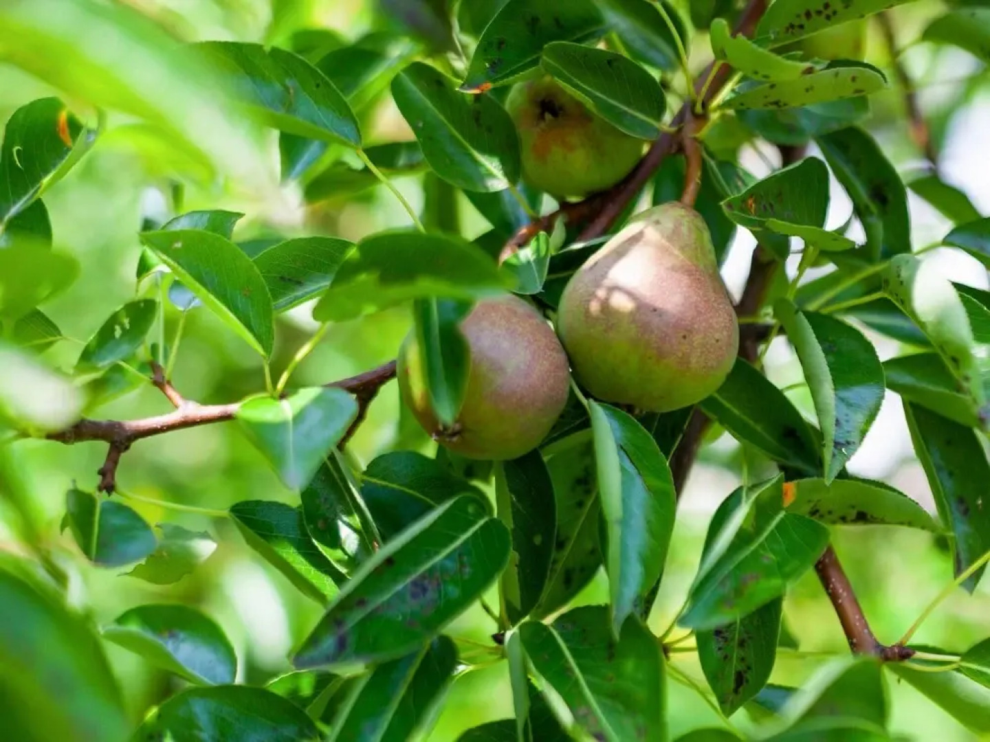 Welcoming Apartment in Hilscheid with Garden