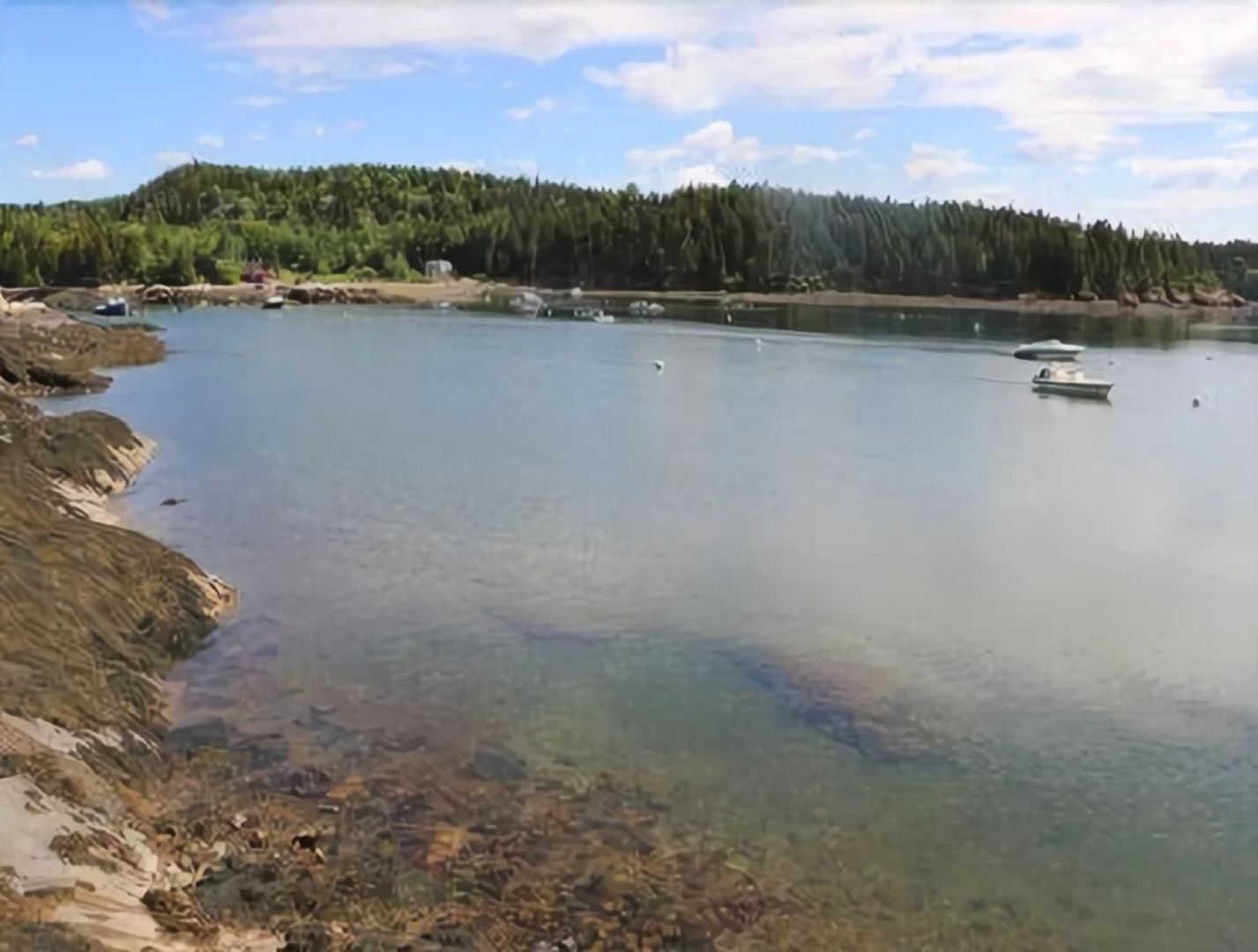 Cedar Cottage - Three Bedroom Cottage