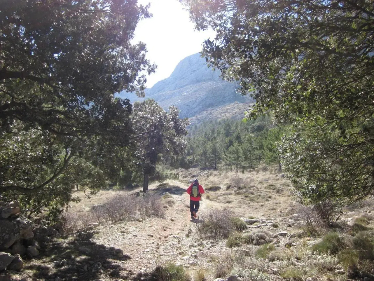Camping Sierra De María