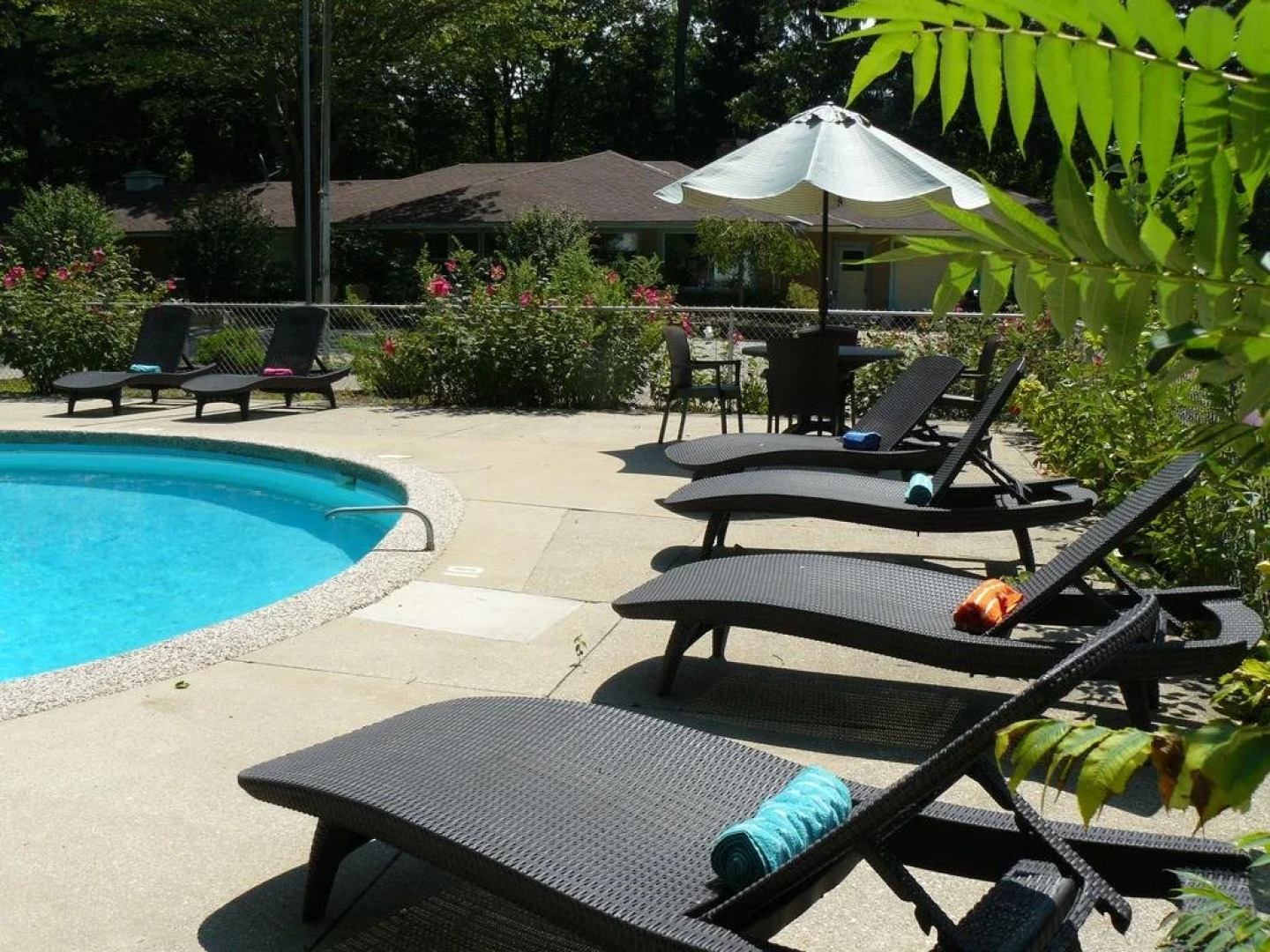 The Saugatuck Retro Resort Motel